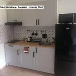Pod Dzikowcem Летний дом Богушув-Горце