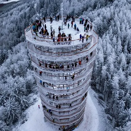 Pod Dzikowcem U Ani *