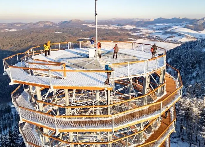 Pod Dzikowcem Landsted *